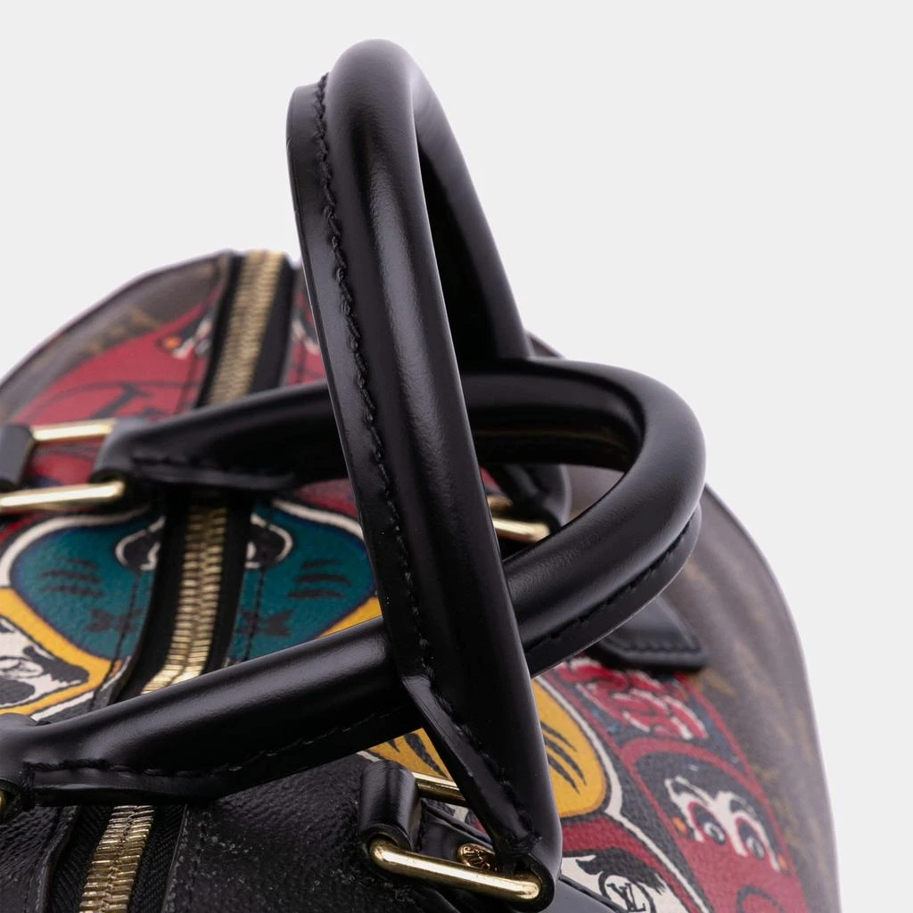 Louis Vuitton Louis Vuitton Brown Monogram Kabuki Speedy  30 Bag 6