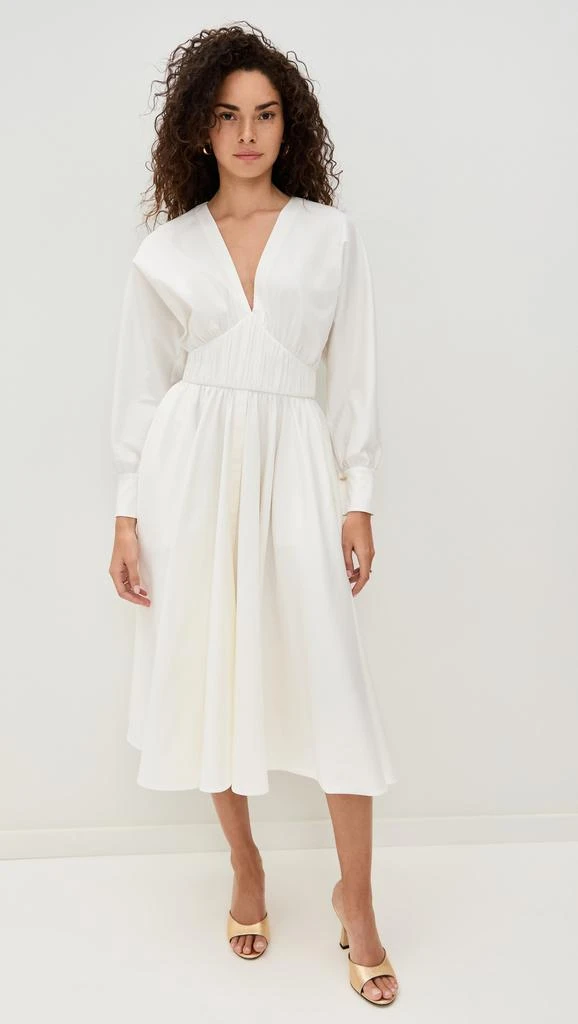 Alexis Viro Dress 6