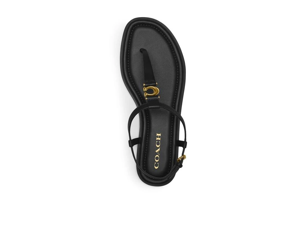 Coach Jessica Sandals 2