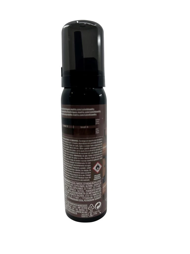 MATRIX Color Blow Dry Temporary Color Chestnut 70 ML 3