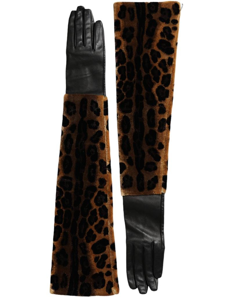 Dolce & Gabbana Leopard Leather Elbow Length Women's Gloves