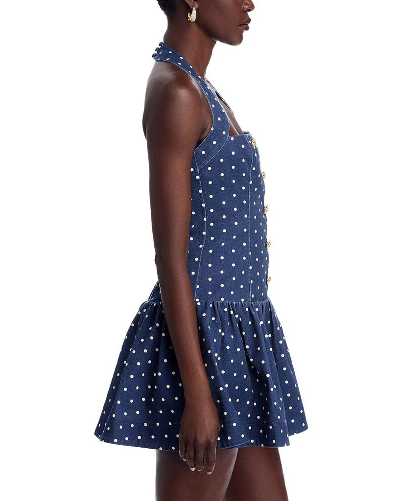 Cara Cara Felicity Mini Dress 5