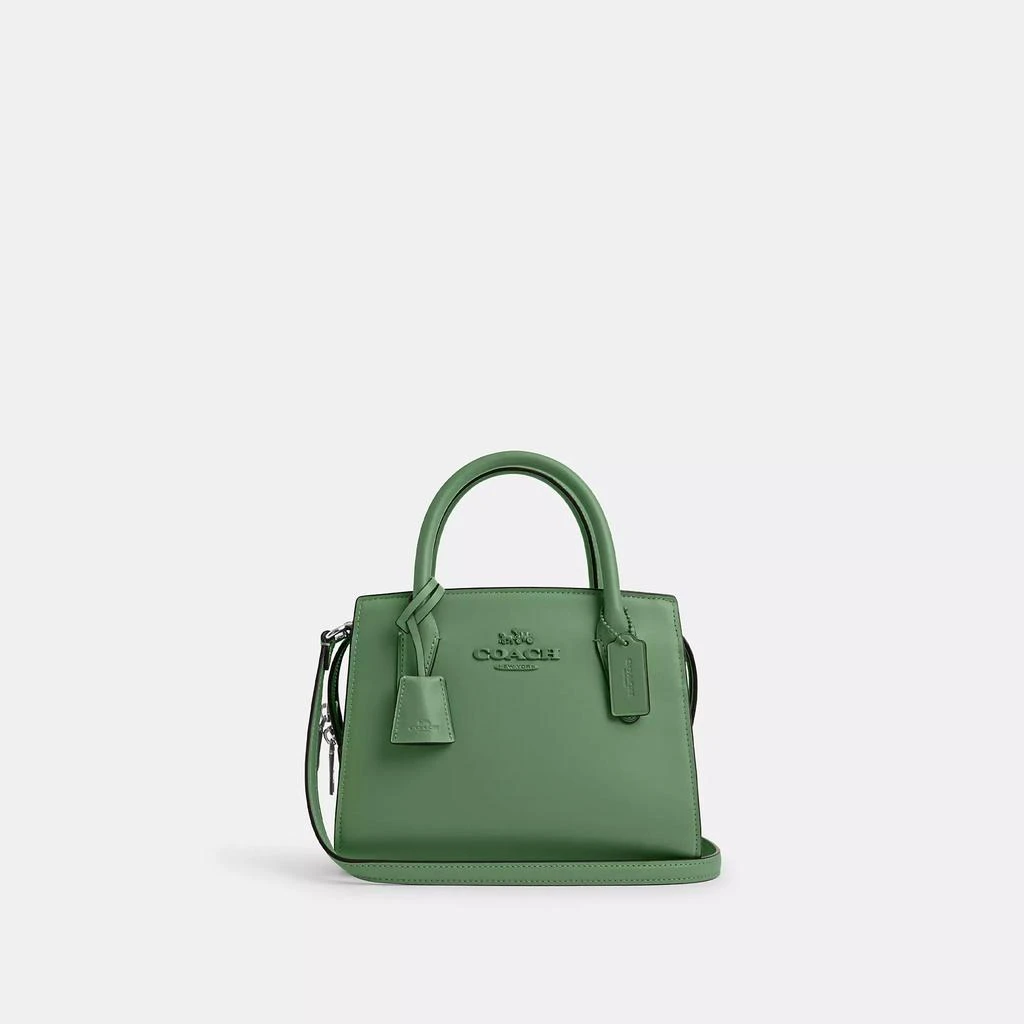 Coach Andrea Carryall 10