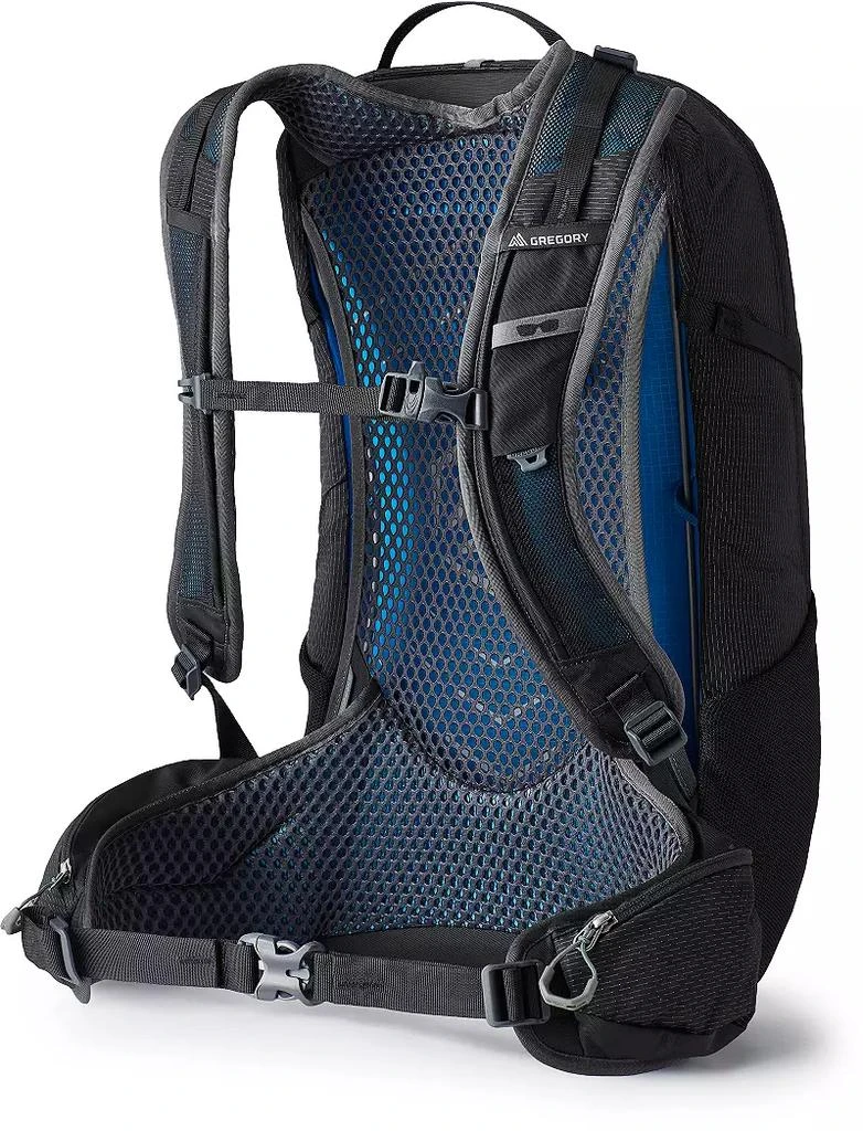 Gregory Gregory Citro 24 Daypack 2