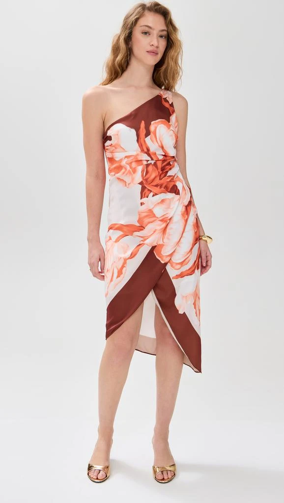 ROCOCO SAND Printed Midi Dress 6