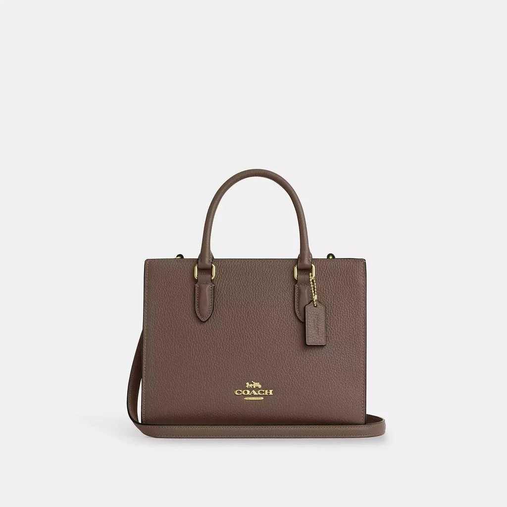 Coach Maggie Small Tote Bag 1