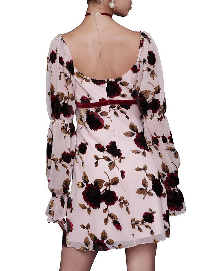 mini black ruffle dress 9seed St. Tropez Mini Dress | Black | One Size