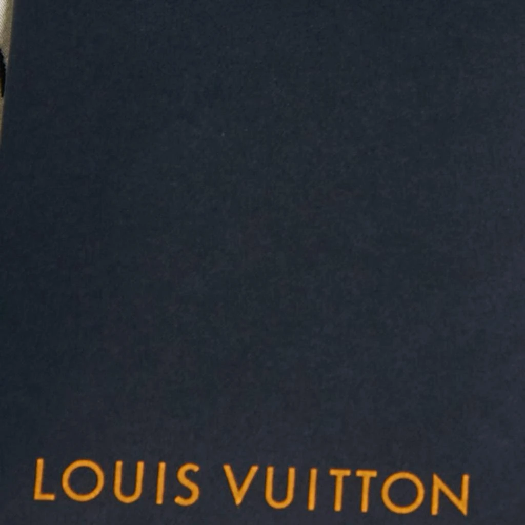 Louis Vuitton Louis Vuitton Blue Printed Silk Pajama Pants L 4