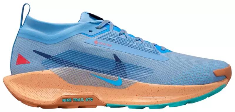 dicks sporting goods nike pegasus