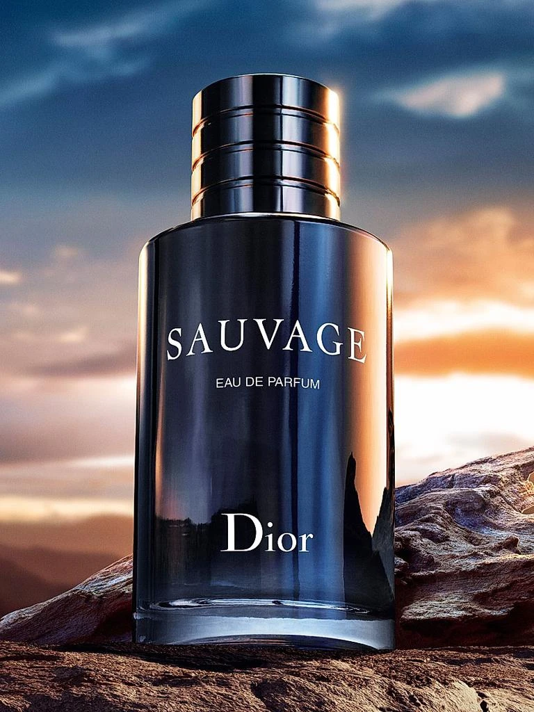 Dior Sauvage Eau De Parfum 9