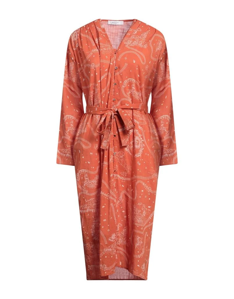 Roseanna Midi dress 1
