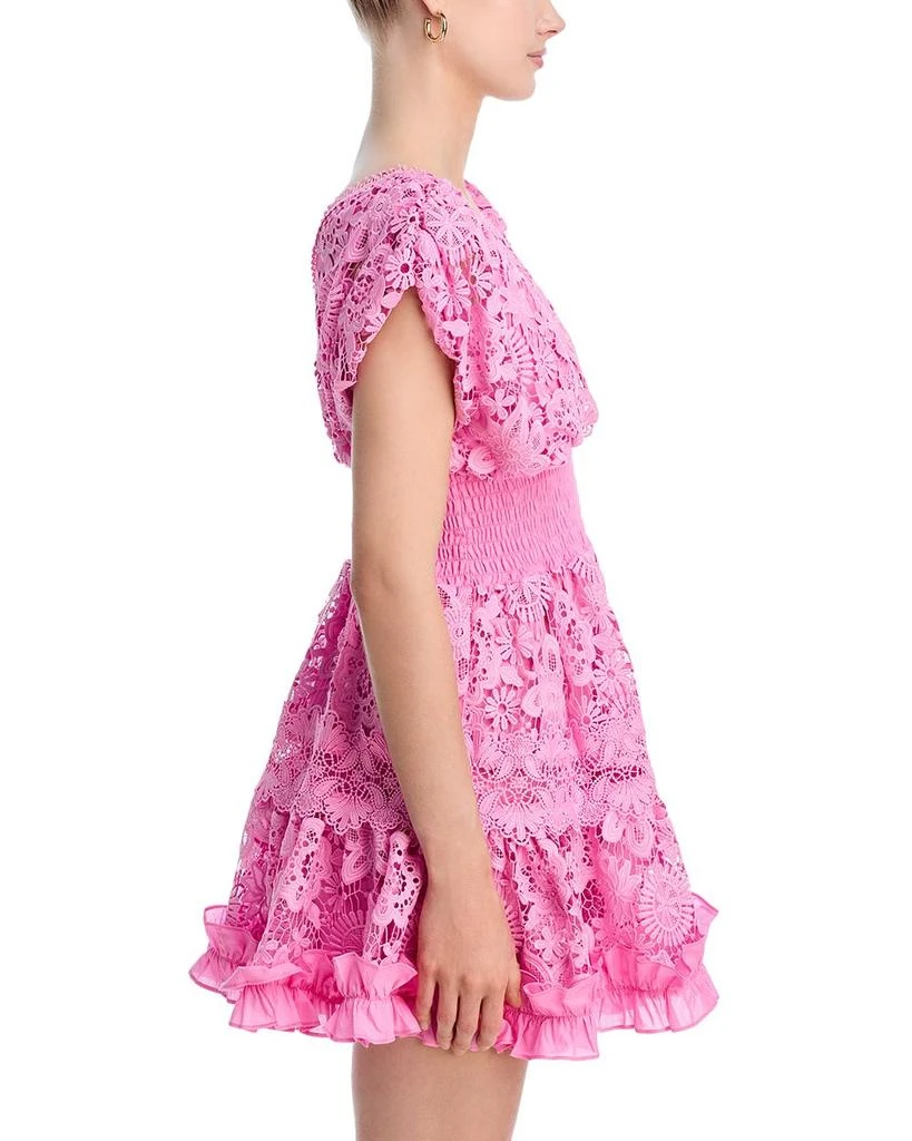 Waimari Morana Lace Embroidered Mini Dress - Exclusive 5