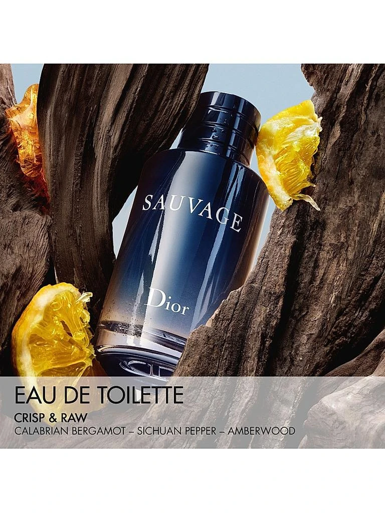 Dior Sauvage Eau De Toilette 10