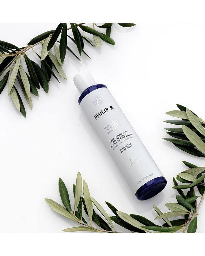 Philip B Icelandic Blonde Shampoo 7.4 oz. 6