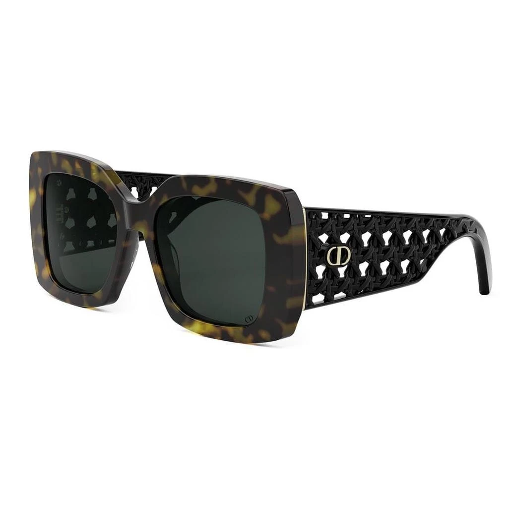 Dior Sunglasses 2