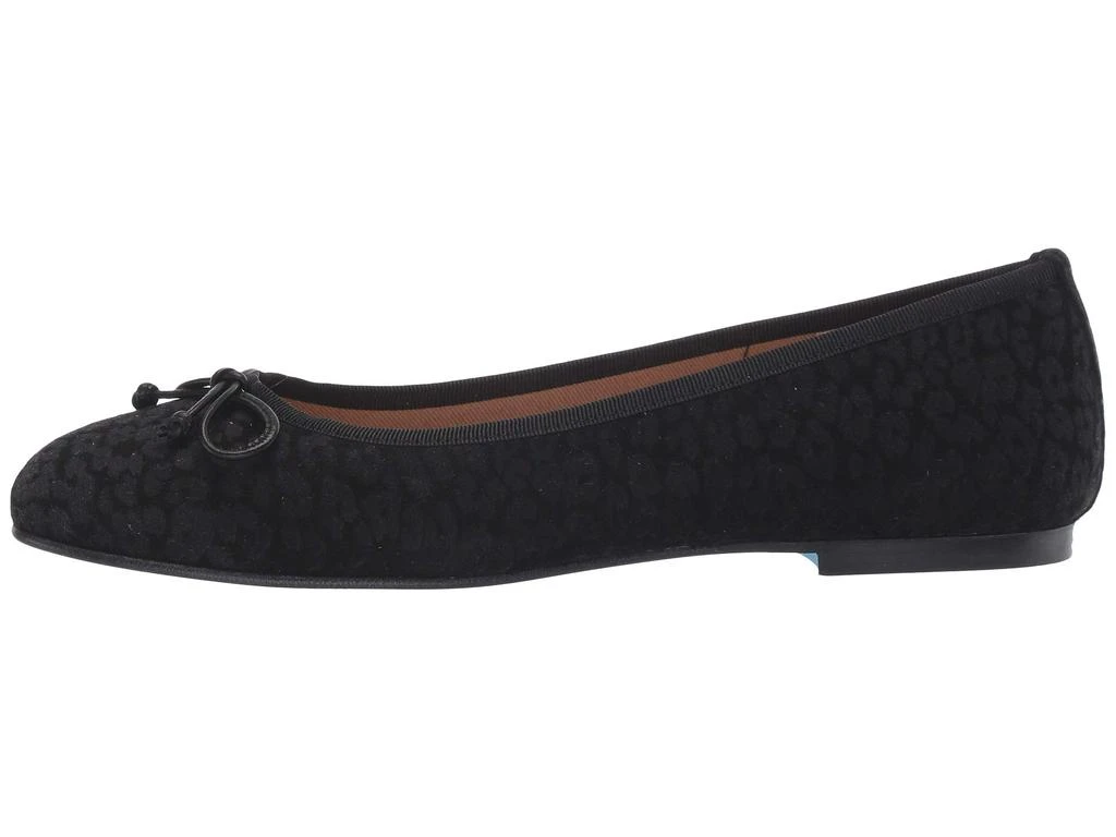 French Sole Nicky Hilton- Paris 4