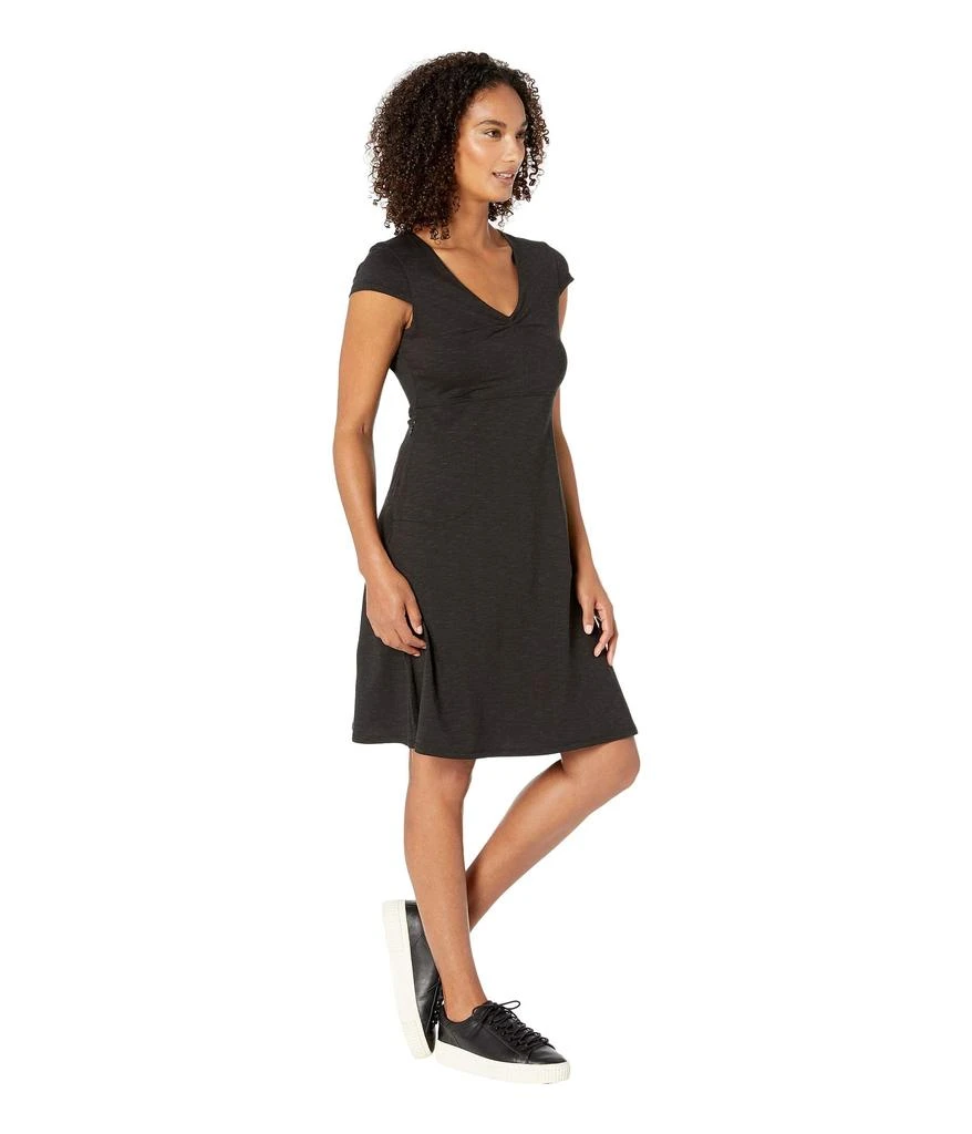 Toad & Co Rosemarie Dress 4