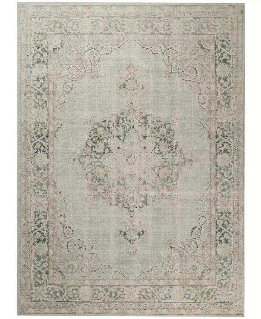 Amer Rugs Century CEN-21 Aqua 5'3" x 7'3" Area Rug