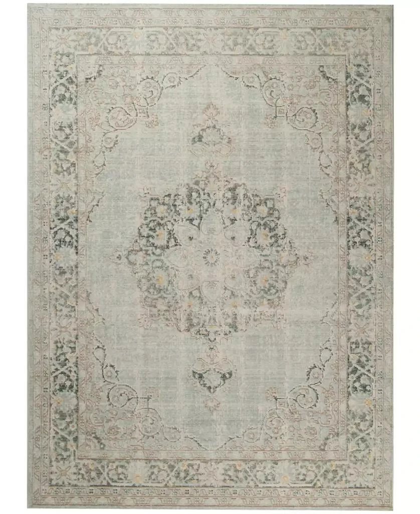 Amer Rugs Century CEN-21 Aqua 5'3" x 7'3" Area Rug 1