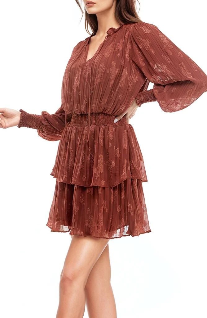 Socialite Smocked Tiered Ruffle Long Sleeve Minidress 3