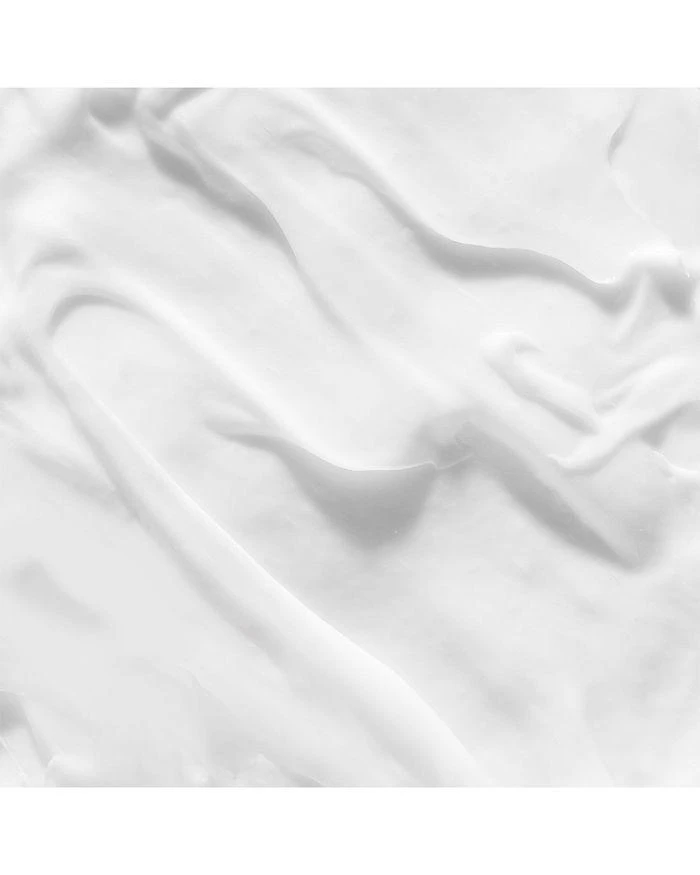 Christophe Robin Hydrating Leave In Cream 5.1 oz. 3