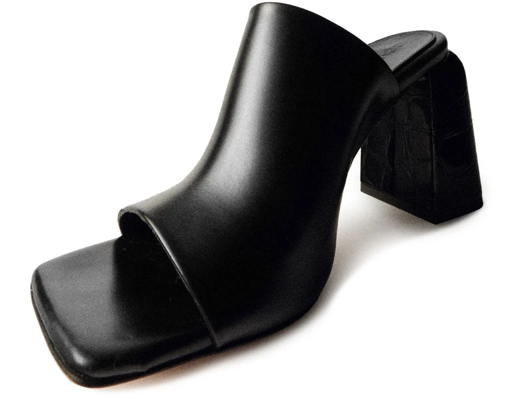 Dear Frances Deri Mule 6