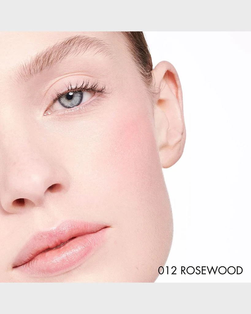 Dior Dior Backstage Rosy Glow Blush 4