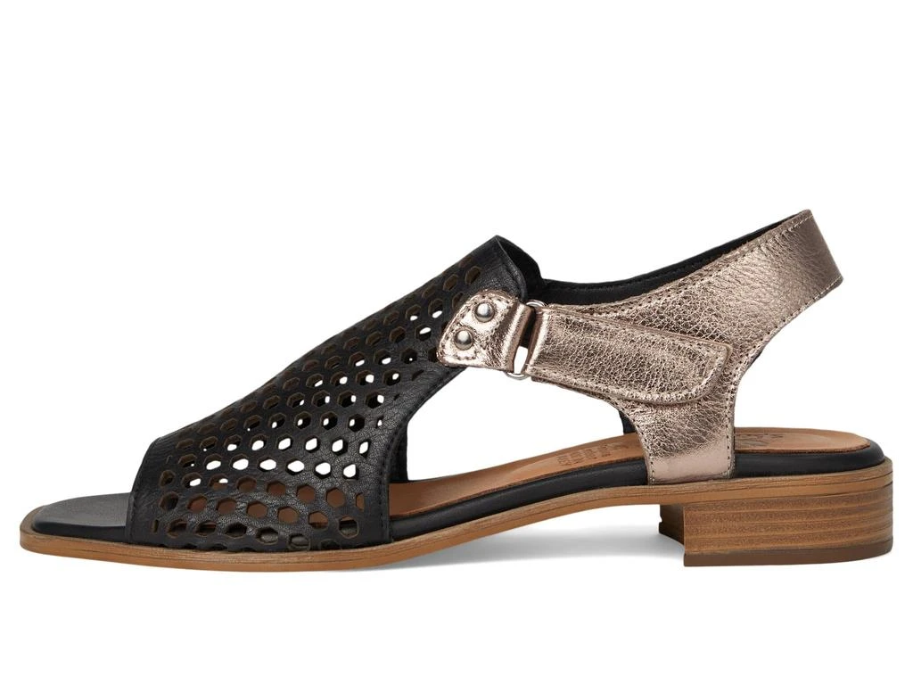 Spring Step Gosset 4