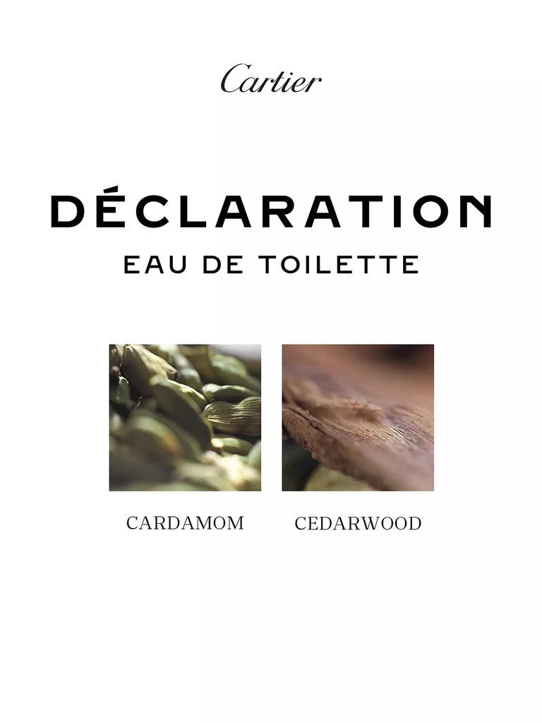 Cartier Déclaration Eau de Toilette 2