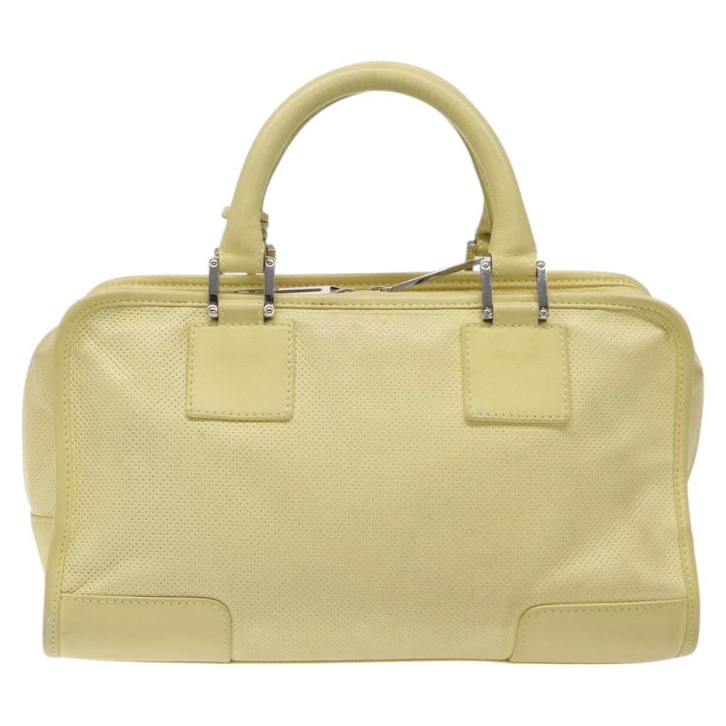 Loewe Amazona Leather Handbag (Pre-Owned)