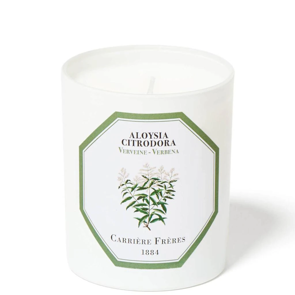 Carriere Freres Carrière Frères Aloysia Citrodora - Verbena 6.5 oz 1