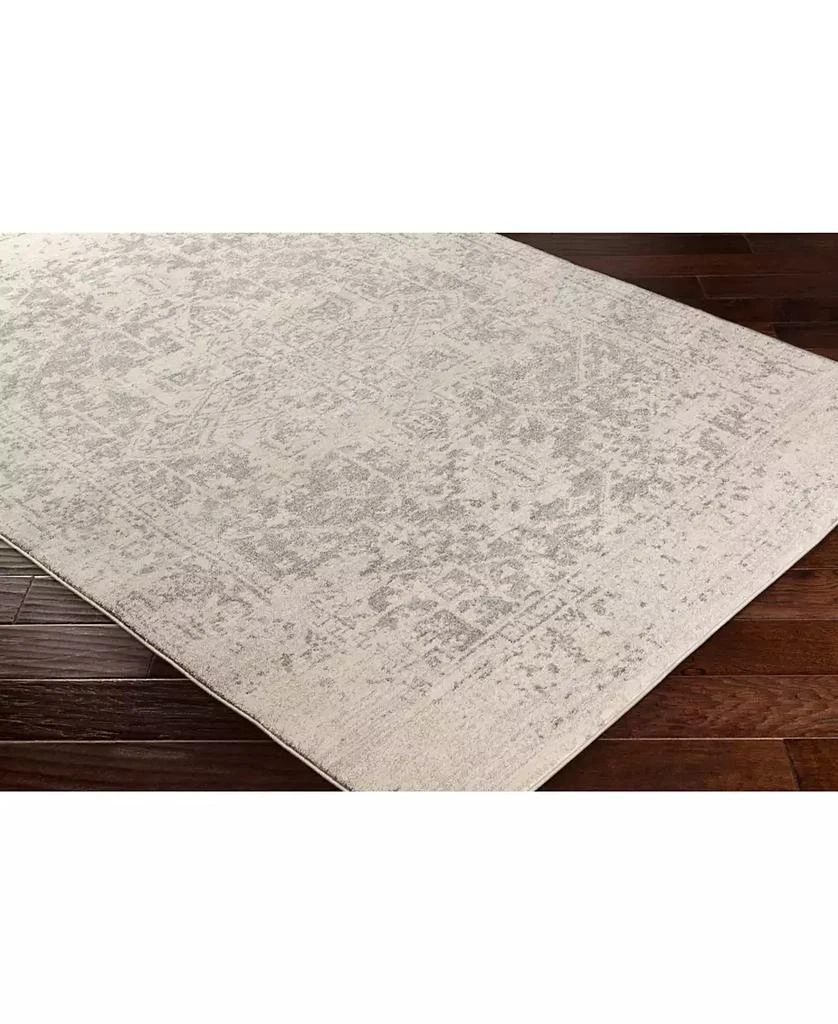 Surya Harput HAP-1024 Gray 2'7" x 7'3" Area Rug 2