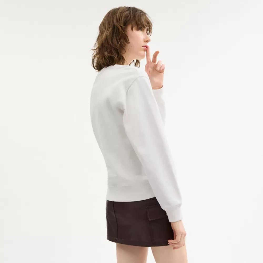 Coach Crewneck 3