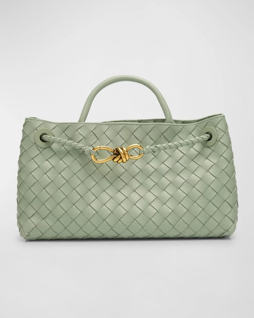 Bottega Veneta Small East-West Andiamo Bag 1