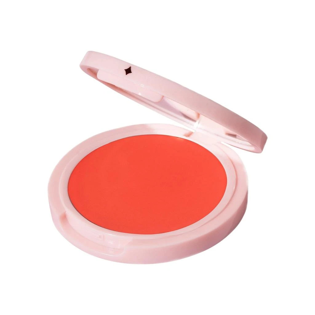 Jillian Dempsey Cheek Tint 5