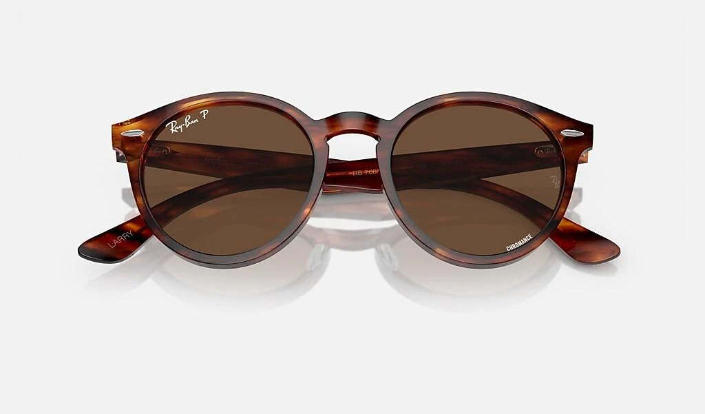 Ray-Ban LARRY 5