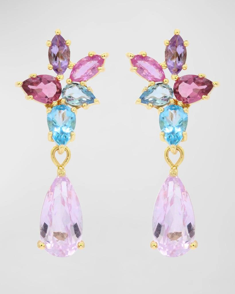Stevie Wren 18K Yellow Gold Cluster Gem Interchanging Drop Earrings 1