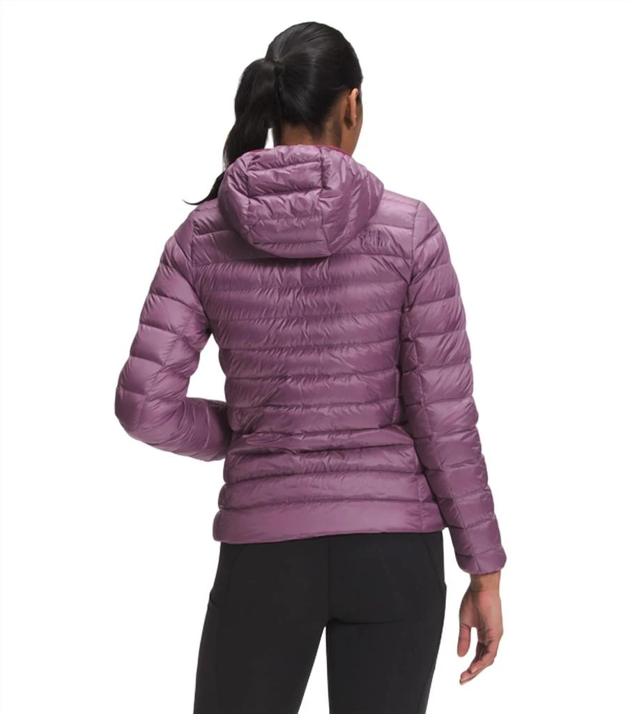 The North Face Sierra Peak Hooded Jacket In Pikes Purple 3