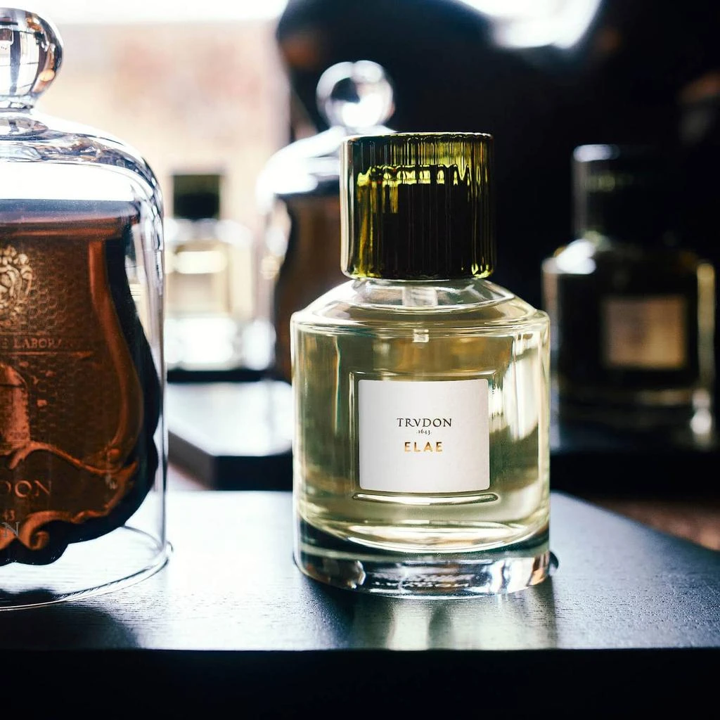 TRUDON TRUDON Elae Eau de Parfum 3.3 fl. oz 4