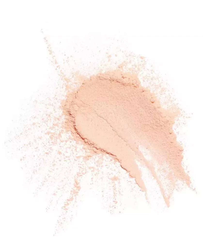 Chanel Natural Finish Loose Powder 2