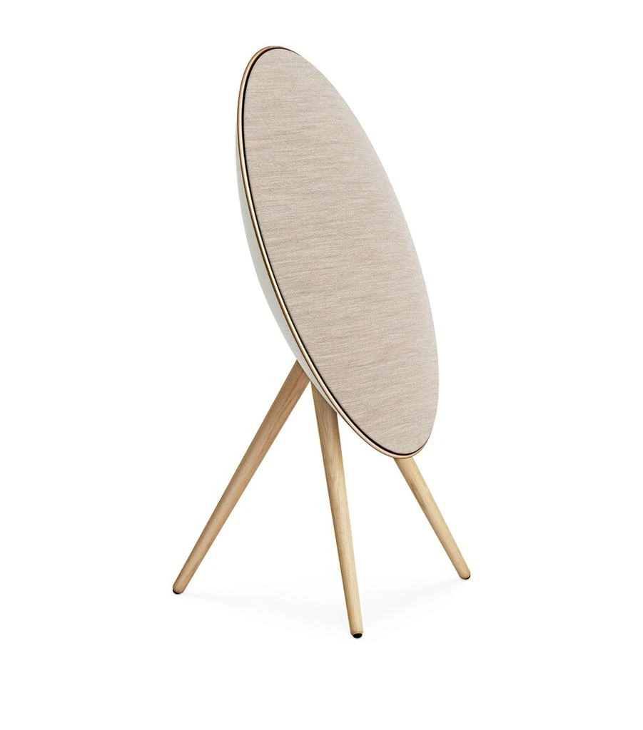 Bang & Olufsen Beosound A9 5th Generation Speaker 6