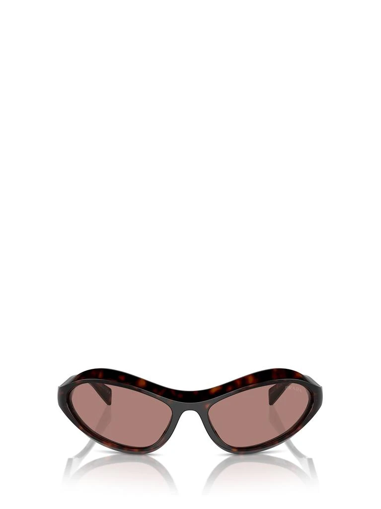 Prada Pr A20s Root Tortoise Sunglasses 1