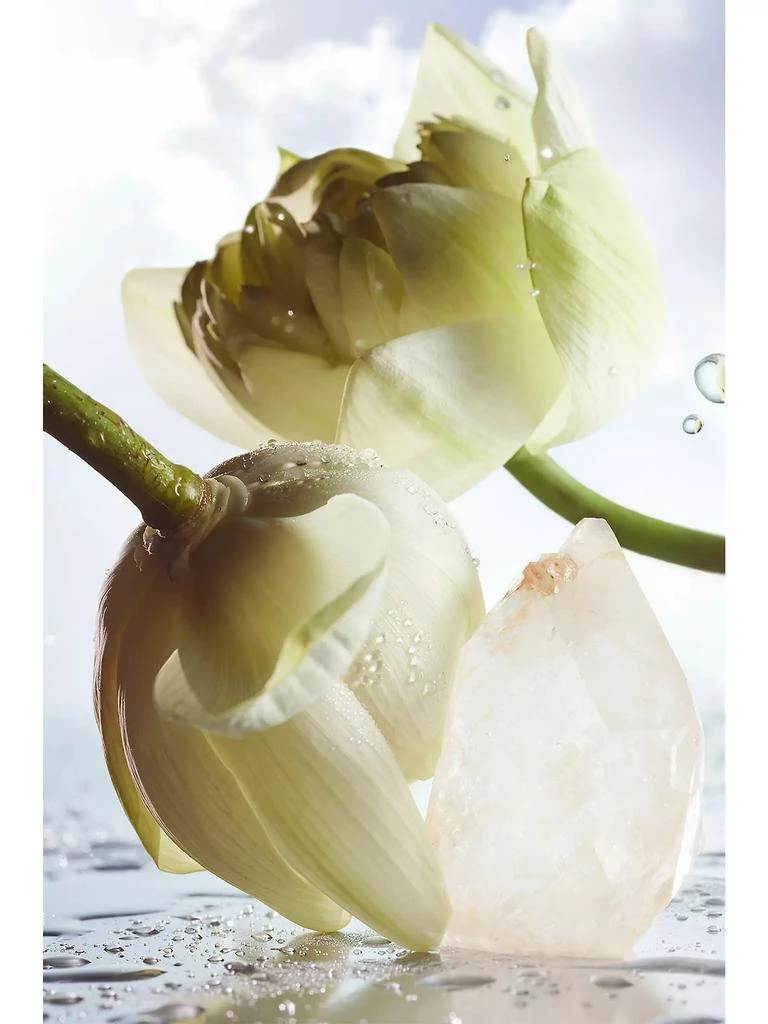 BVLGARI Bvlgari Man Rain Essence Eau de Parfum 4