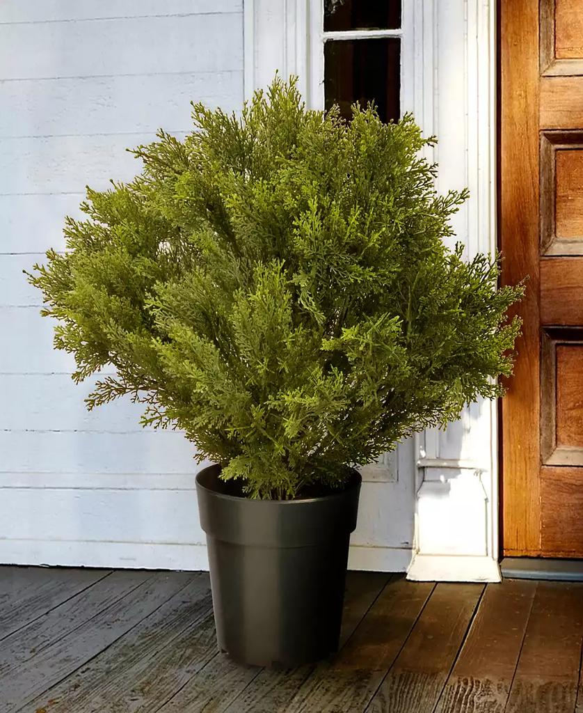 National Tree Company 28 Globe Juniper Tree
