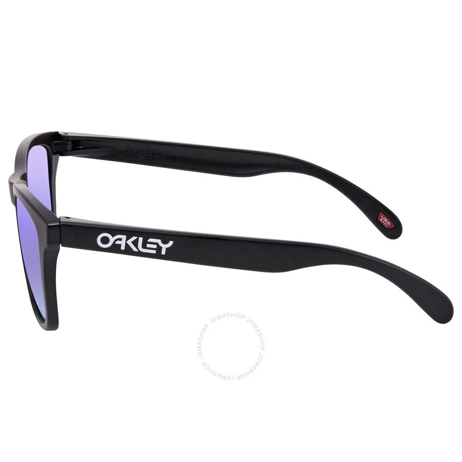 Oakley Oakley Frogskins Sunglasses 3