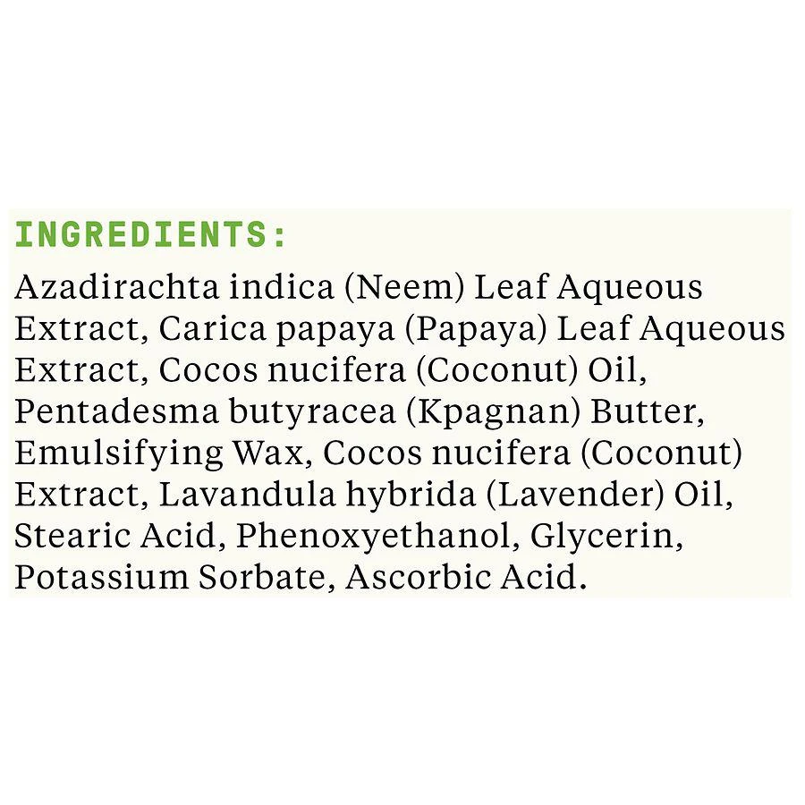 Alaffia Everyday Coconut Face Cream Purely Coconut 4