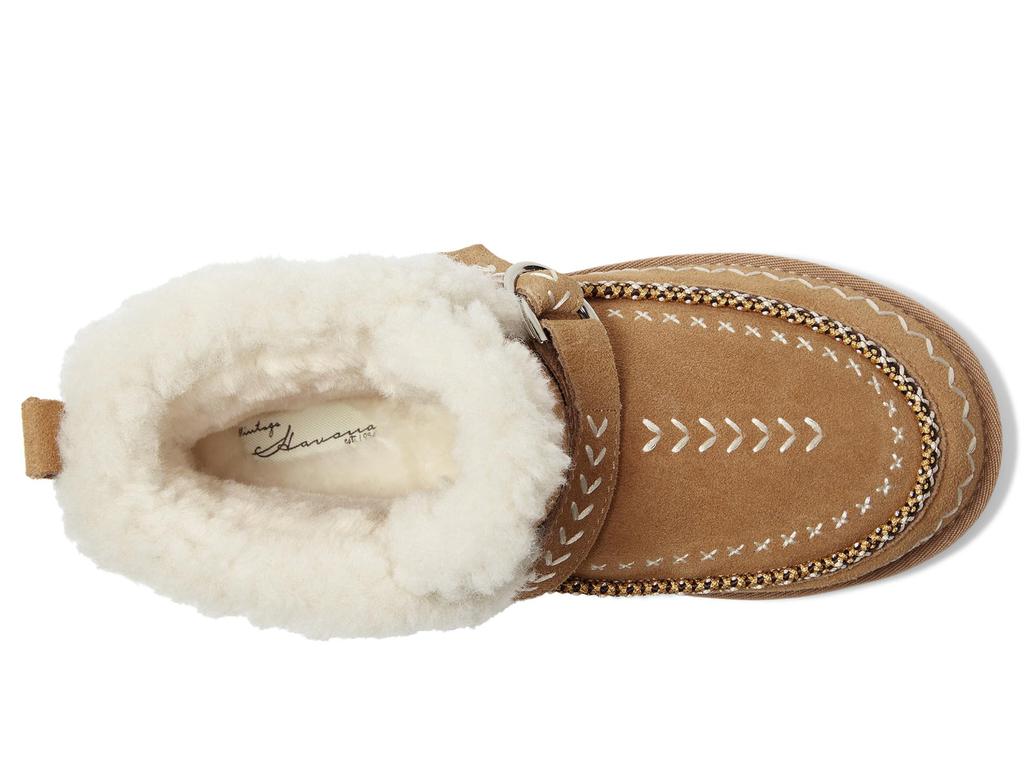 Vintage Havana Grand