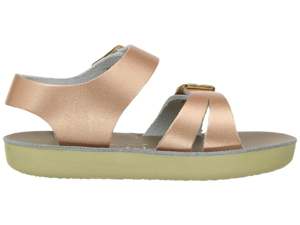 Salt Water Sandal by Hoy Shoes Sun-San - Sea Wees (Infant/Toddler) 6