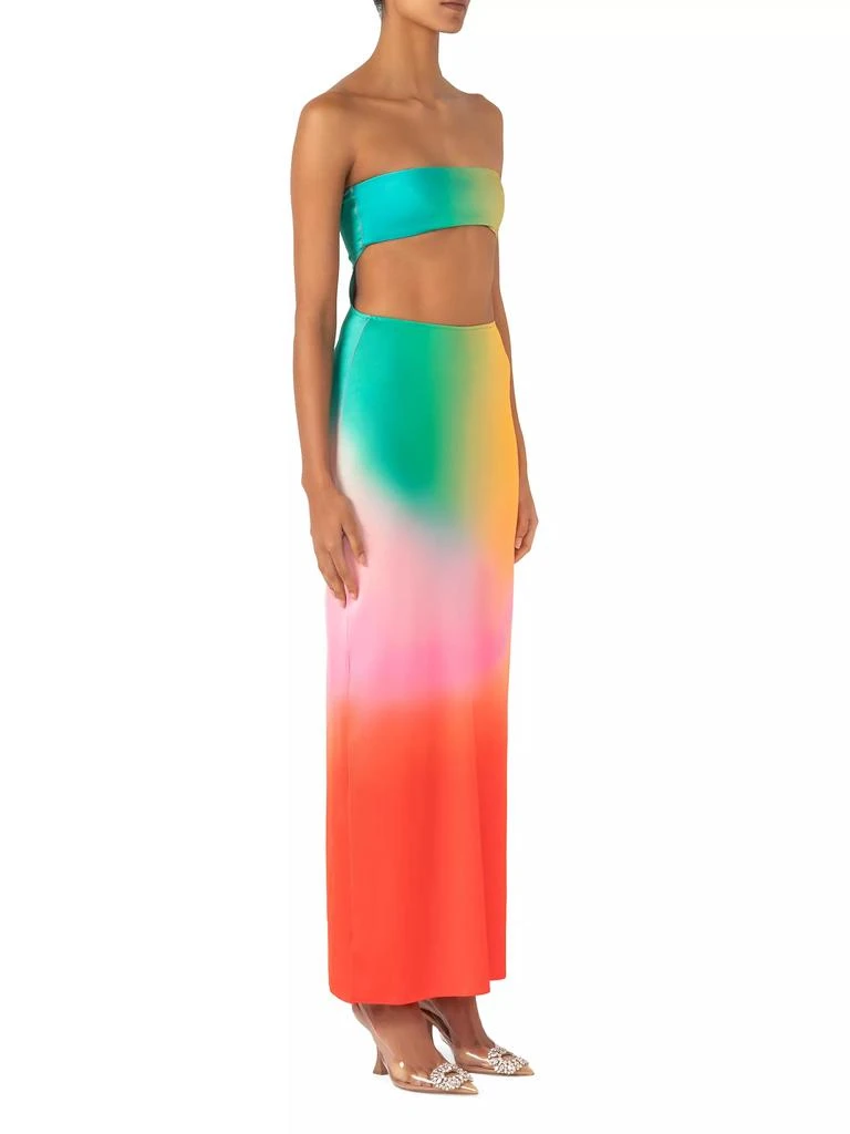 Baobab Mambo Maxi Dress 3