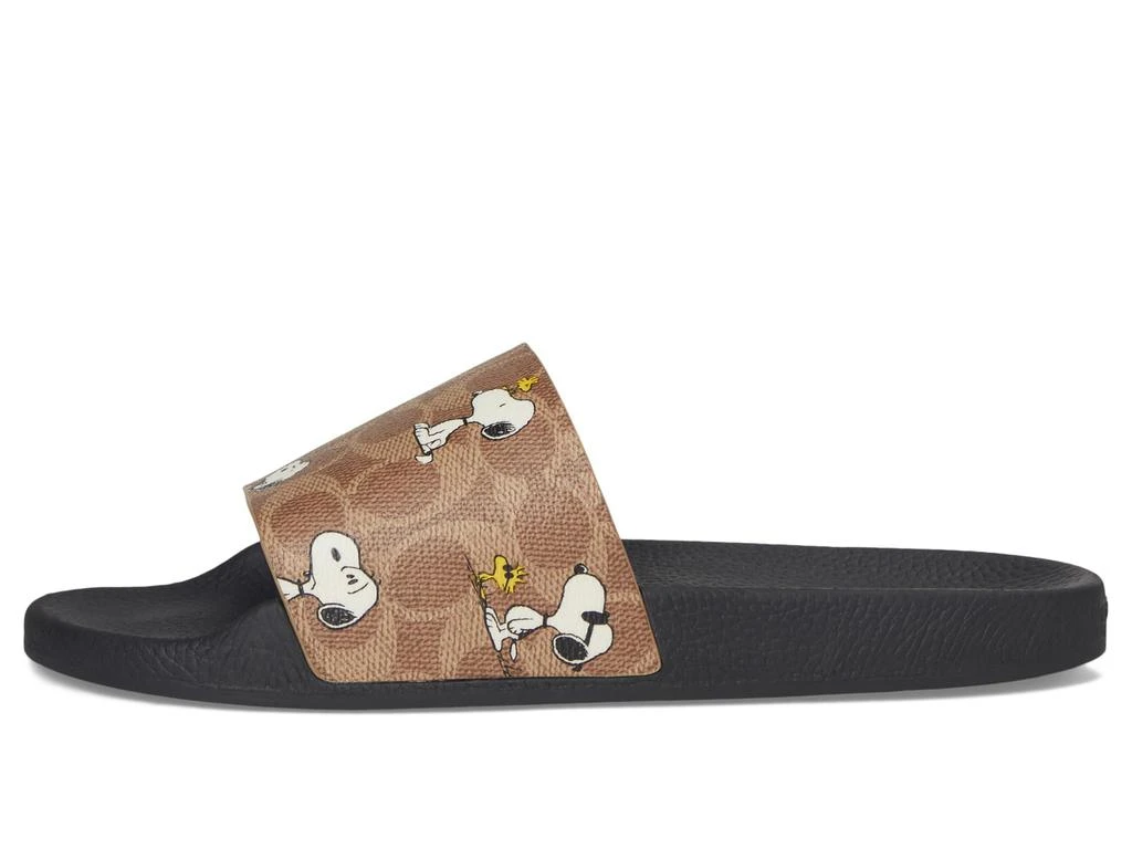 Coach Udele Peanuts Sport Slide 4